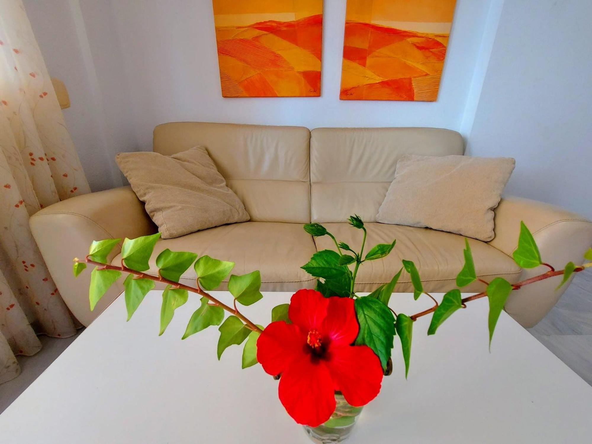 Lomas De Mena Appartement